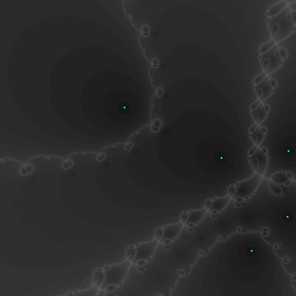 Dark background with a few light gray lace-like strings across it. The strings are the boundary between the regions in the complex plane that approach each root. They have structure at each scale, as though the fibers that make the lace are themselves made of a finer lace and on an on.